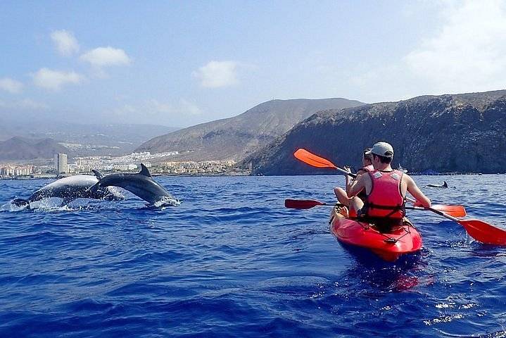 private trip - lanzatour canarias