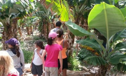 555431644_24600413729612858_675849613024773337_n